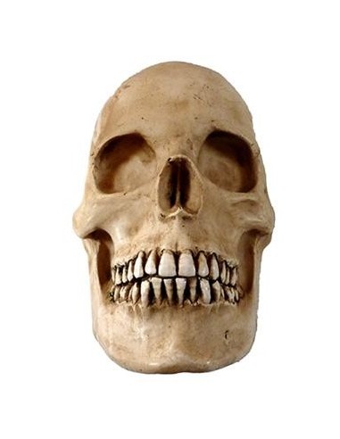 Media calavera resina