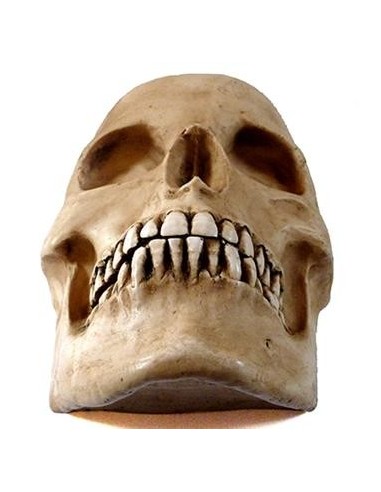 Media calavera resina
