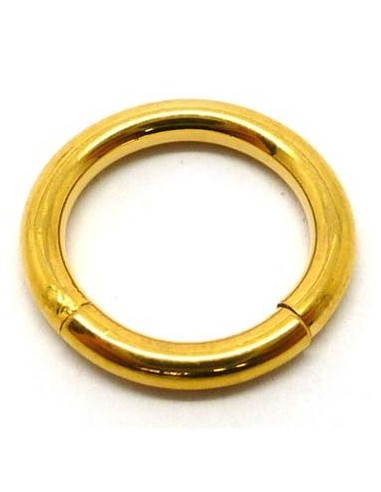 Aro segmentado ORO