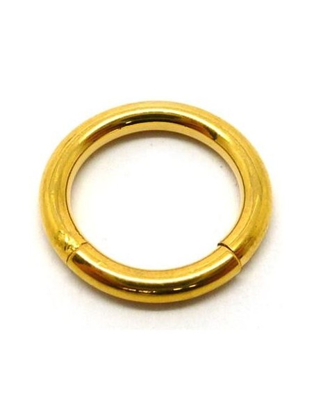 Aro segmentado ORO