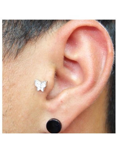 Tragus Mariposa-2