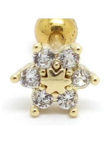 Tragus Flor Dorada Multijoya