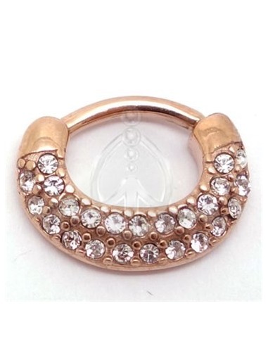 Septum SEPA26-B. Joya