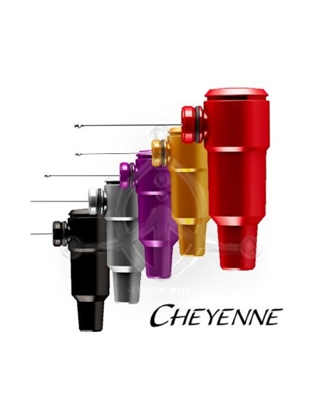Cheyenne Hawk SPIRIT