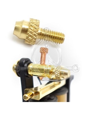 Tornillo Borne delantero (2)