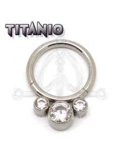 Aro segmentado Joya ? Titanio