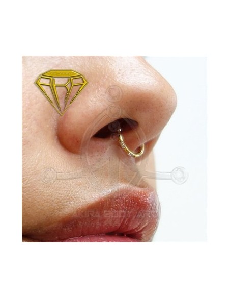 Aro segmentado 5 joyas - ORO