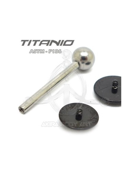 Barbell CHAPA Negra 1.6x16