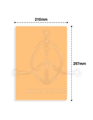 Piel de prácticas DNA4