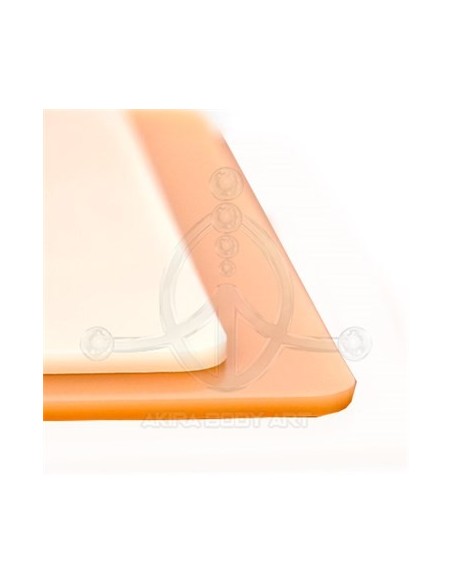 Piel de prácticas DNA4