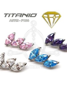 Labret pétalos joyas ? Titanio Ros. Interna 2