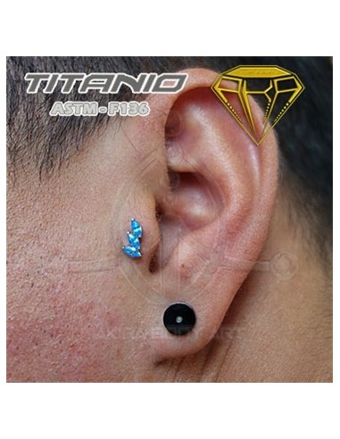 Labret pétalos joyas ? Titanio Ros. Interna