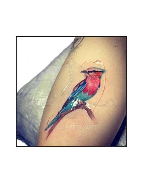 Gel TATTOOFILM de ALOE