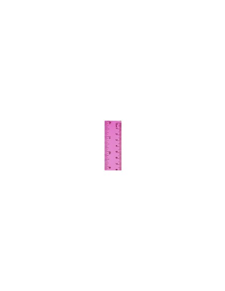 Regla Flexible 30 cm